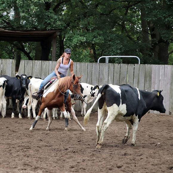 Meet your Posher, Lena - Picture 1 of 1